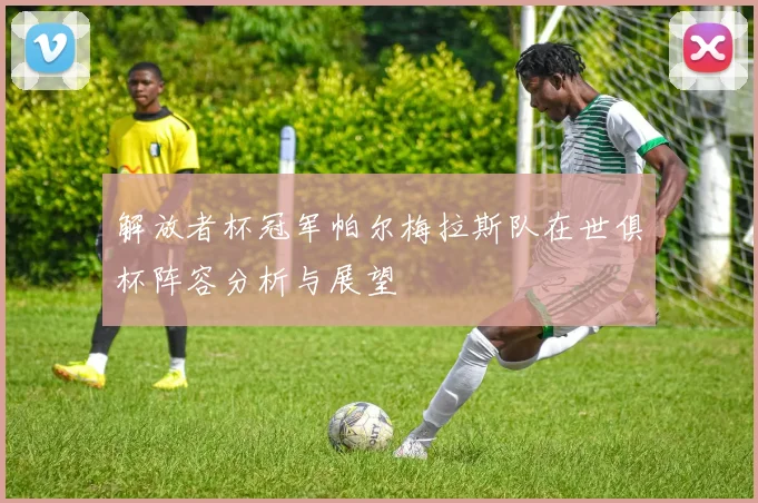 解放者杯冠军帕尔梅拉斯队在世俱杯阵容分析与展望