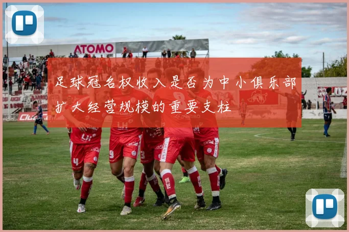 足球冠名权收入是否为中小俱乐部扩大经营规模的重要支柱