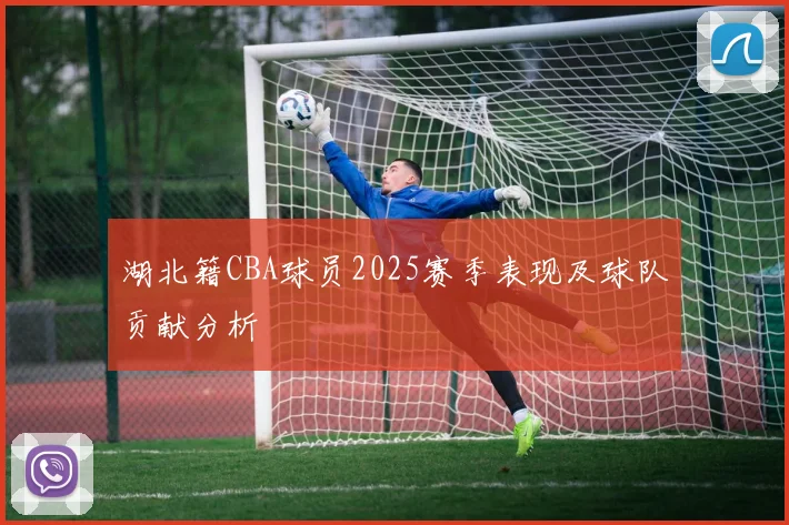 湖北籍CBA球员2025赛季表现及球队贡献分析