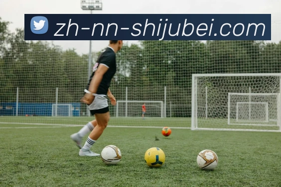 世界杯赛程表平台生态图