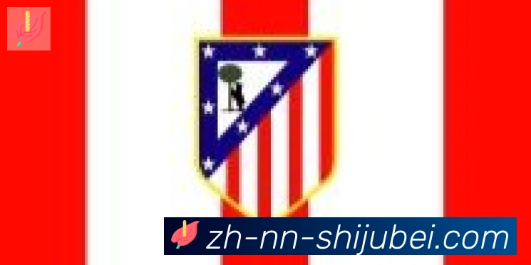 世界杯赛程表合作伙伴